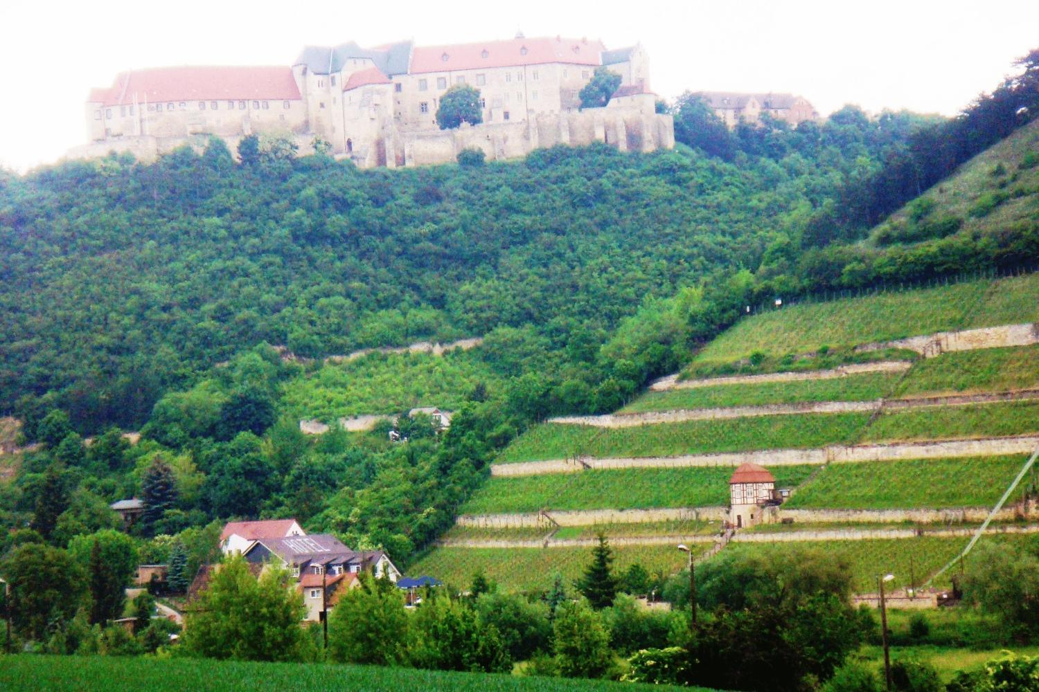 Landhotel Weingut Schulze فرايبورغ المظهر الخارجي الصورة