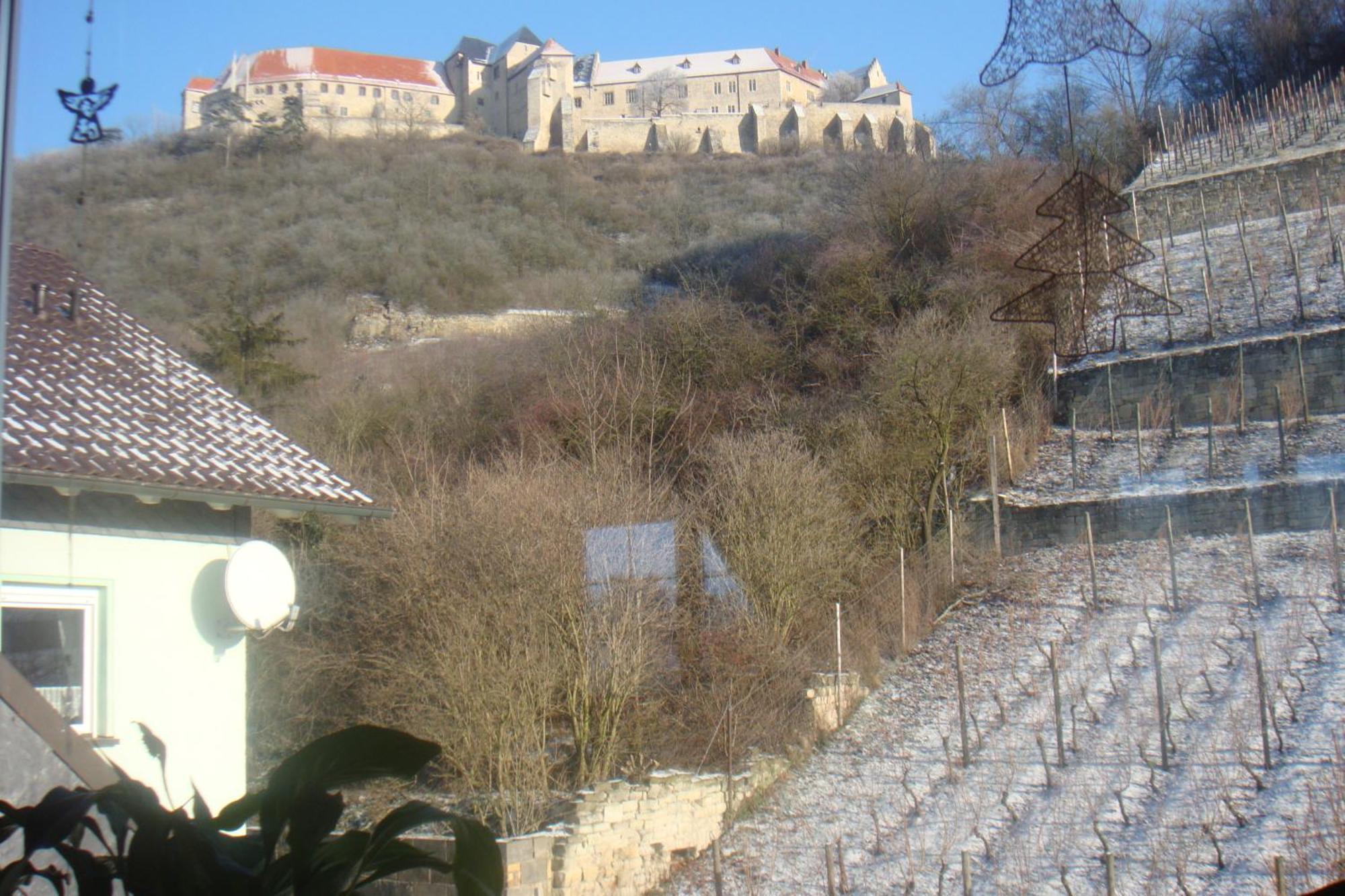 Landhotel Weingut Schulze فرايبورغ المظهر الخارجي الصورة