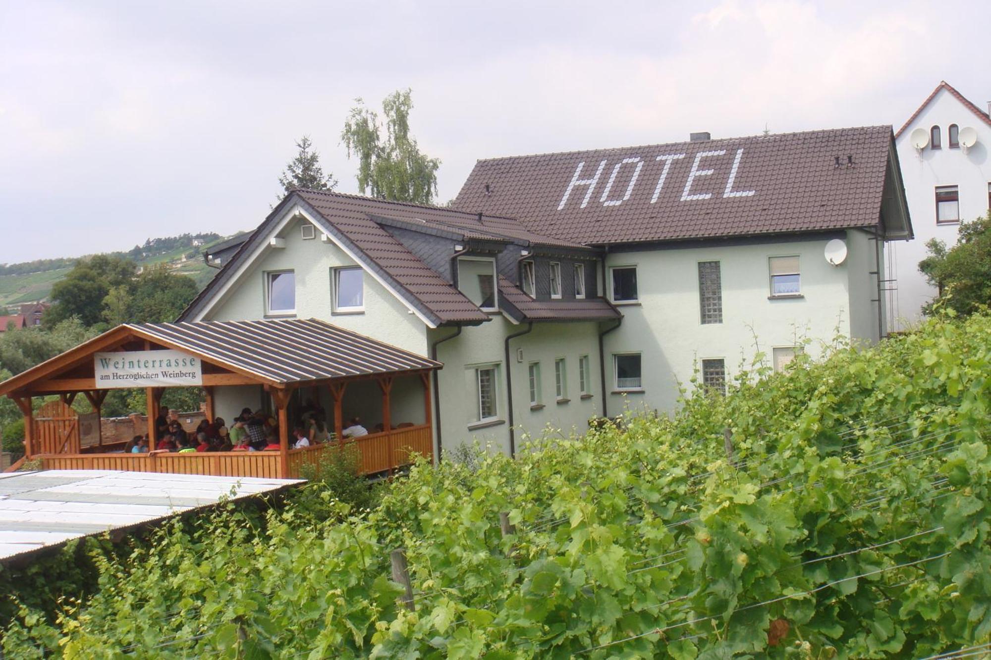 Landhotel Weingut Schulze فرايبورغ المظهر الخارجي الصورة